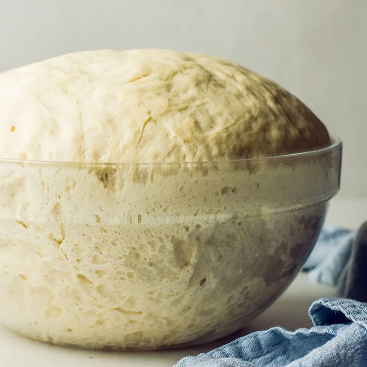 instant yeast artisan bread